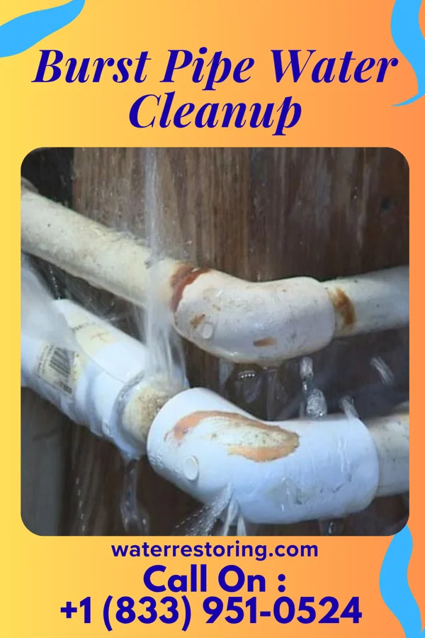 Burst Pipe Water Cleanup in Brooten, MN
