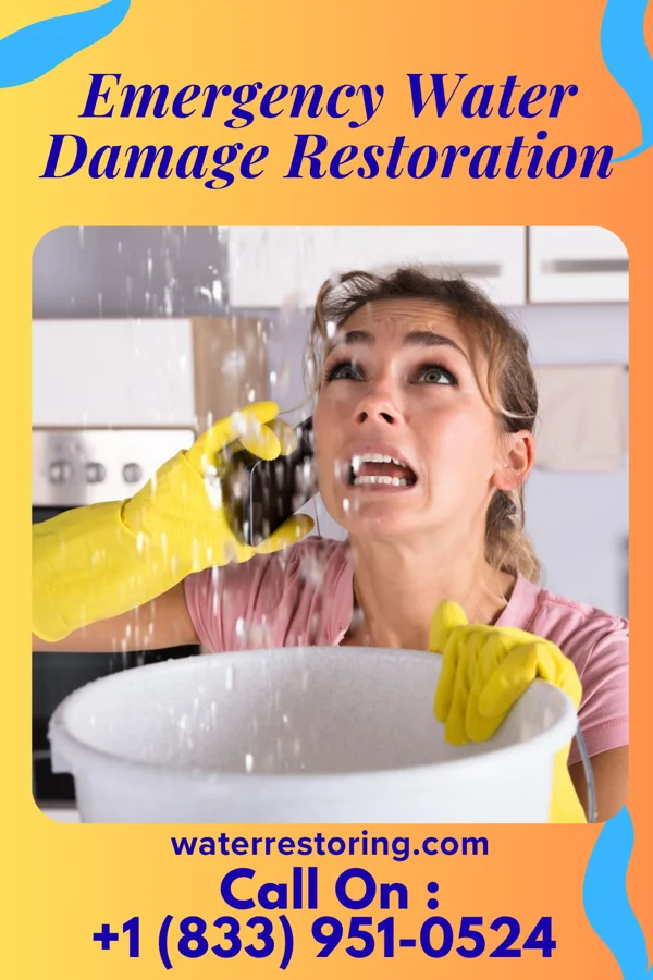 Emergency Water Damage Restoration in Brooten, MN